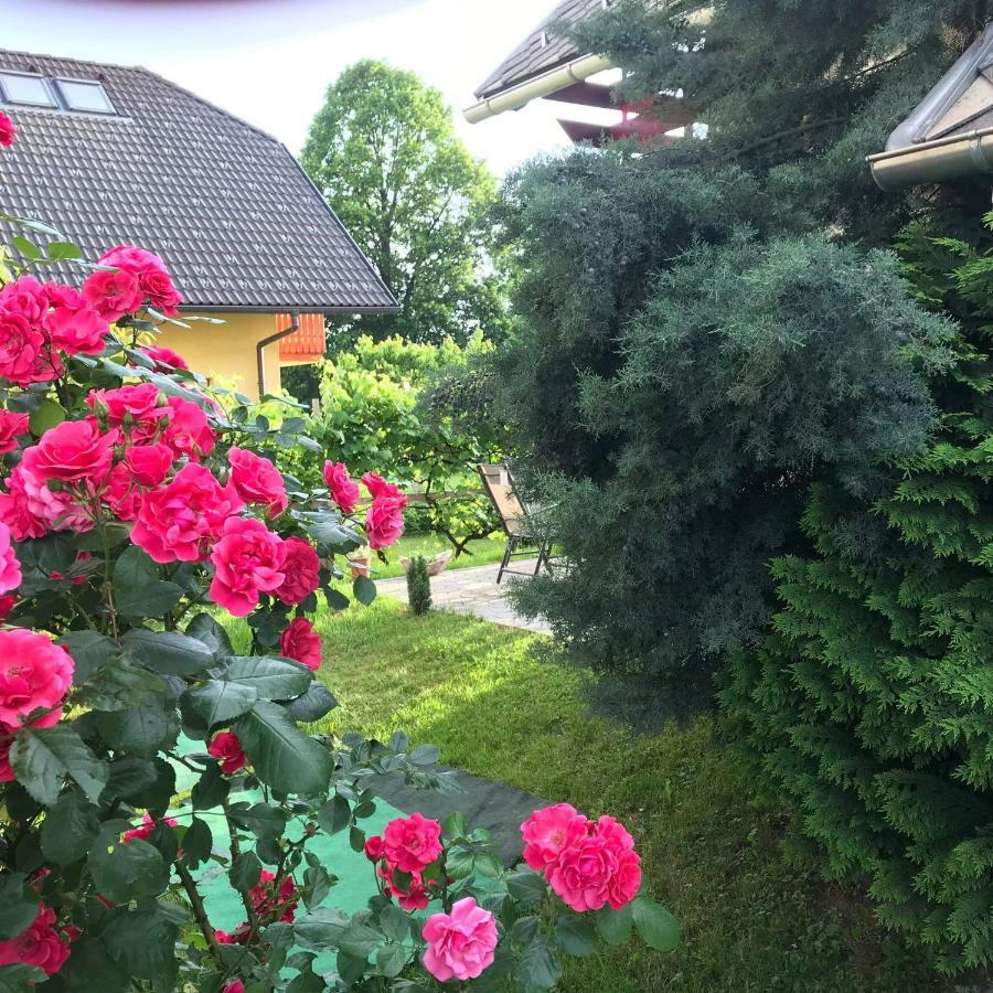 Apartma Peter1A Begunje na Gorenjskem Exterior foto